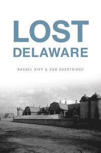 bokomslag Lost Delaware