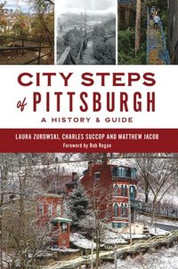 bokomslag City Steps of Pittsburgh