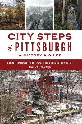 bokomslag City Steps of Pittsburgh