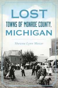 bokomslag Lost Towns of Monroe County, Michigan