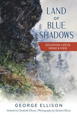 bokomslag Land of Blue Shadows
