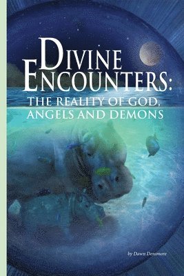 bokomslag Divine Encounters