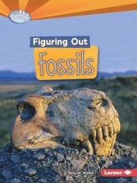 bokomslag Figuring Out Fossils