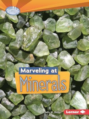 bokomslag Marveling at Minerals