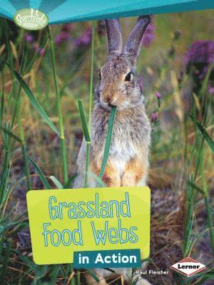 bokomslag Grassland Food Webs in Action