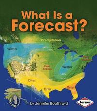 bokomslag What Is a Forecast?