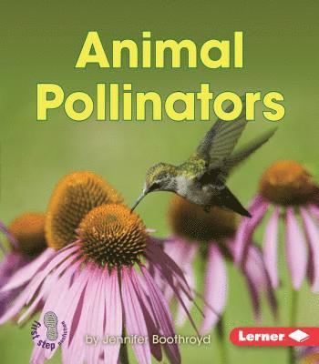 Animal Pollinators 1