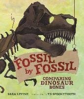 Sara Levine - Fossil by Fossil, Inbunden