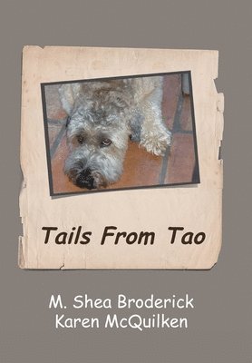 bokomslag Tails from Tao