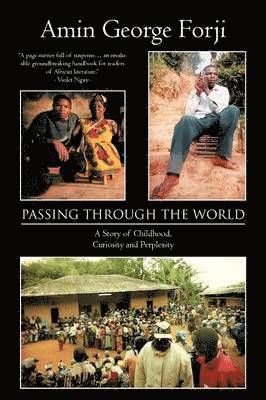 Passing Through the World 1