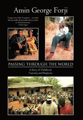 bokomslag Passing Through the World