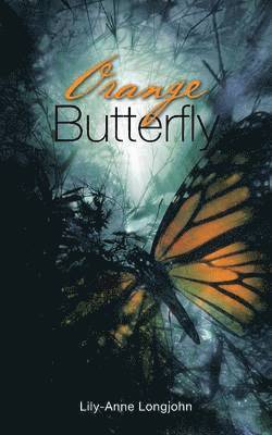 Orange Butterfly 1