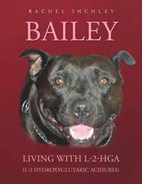 bokomslag Bailey Living with L-2-HGA (L-2 Hydroxyglutaric Aciduria)