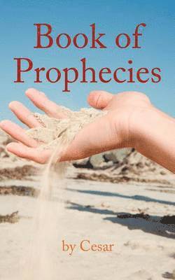 bokomslag Book of Prophecies