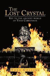 bokomslag Lost Crystal