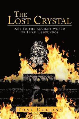 bokomslag Lost Crystal