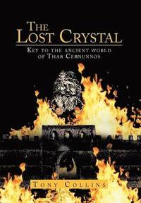 bokomslag The Lost Crystal