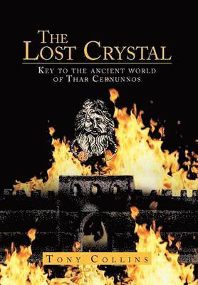 bokomslag Lost Crystal