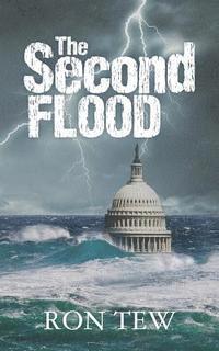 bokomslag The Second Flood