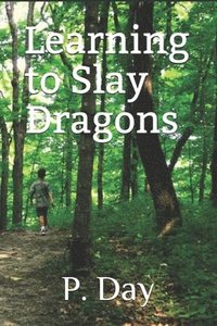 bokomslag Learning to Slay Dragons