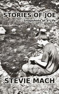 Stevie Mach - Stories of Joe, Häftad