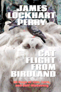 James Lockhart Perry - Cat Flight From Birdland: Ninety Days of Lies, Love, and Self-Discovery, Häftad