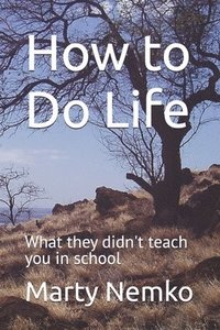 bokomslag How to Do Life: What they didn't teach you in school