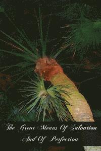 Alphonsus de Liguori, Eugene Grimm - The Great Means Of Salvation And Of Perfection, Häftad