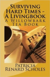 bokomslag Surviving Hard Times - A Livingbook