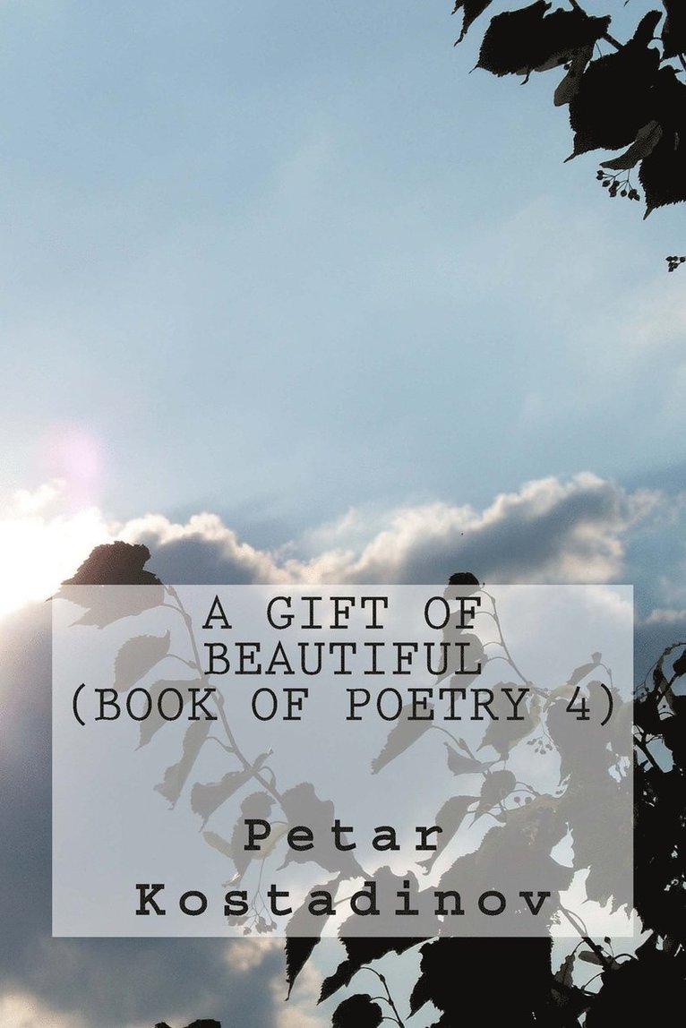 Petar Kostadinov - Gift Of Beautiful, Häftad
