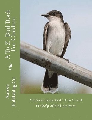 bokomslag A To Z Bird Book For Children