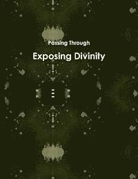 bokomslag Exposing Divinity