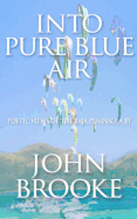 bokomslag Into Pure Blue Air