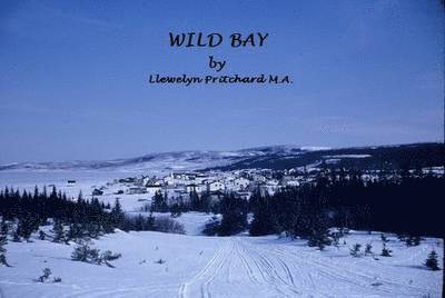 Wild Bay: All is Not as it Seems to Be!!! 1