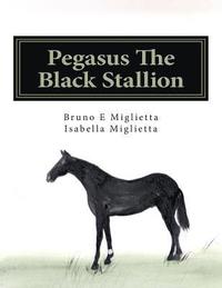 bokomslag Pegasus The Black Stallion