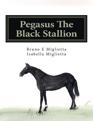 Pegasus The Black Stallion 1