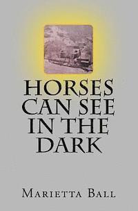 bokomslag Horses Can See In The Dark