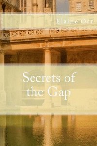 bokomslag Secrets of the Gap