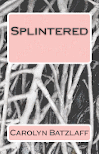 bokomslag Splintered