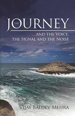 The Journey...and the voice, the signal and the noise 1