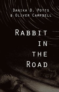 bokomslag Rabbit in the Road