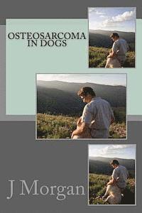 bokomslag Osteosarcoma in Dogs