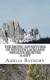 bokomslag Nevelyn Receives a Gift: The Erotic Adventures of Nevelyn Lackland