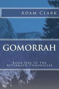 bokomslag Gomorrah