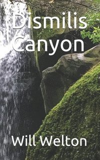 bokomslag Dismilis Canyon