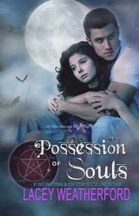 bokomslag Possession of Souls