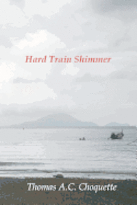 bokomslag Hard Train Shimmer