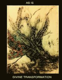 Christina Marie Culverhouse - AS IS-Divine Transformation, Häftad