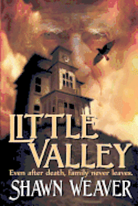 bokomslag Little Valley