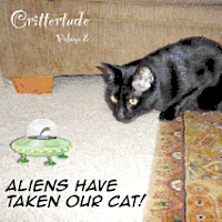 Crittertude: Aliens Have Taken Our Cat! 1